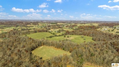 DYNAMIC recreational property ! Check out this 125 +/- Acres on Fox Hollow Golf Club in Kentucky - for sale on GolfHomes.com, golf home, golf lot