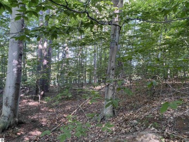 Surround yourself among nature and endless recreation on Sugar Loaf The Old Course in Michigan - for sale on GolfHomes.com, golf home, golf lot