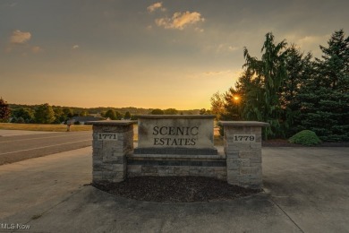 An Unparalleled Legacy Awaits: Exquisite Custom Estate at 1771 on  in Ohio - for sale on GolfHomes.com, golf home, golf lot