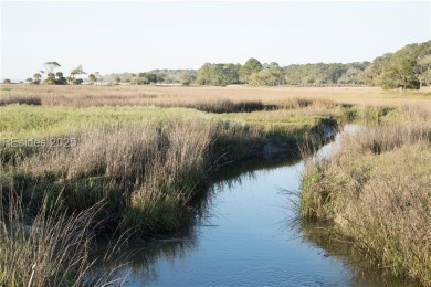 Discover the perfect canvas for your dream home on this large on Haig Point Golf Club in South Carolina - for sale on GolfHomes.com, golf home, golf lot