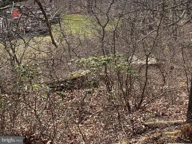 Location, location, location to build your own dream home on Eagle Rock Golf and Ski Resort in Pennsylvania - for sale on GolfHomes.com, golf home, golf lot