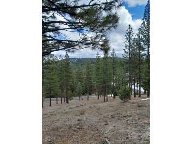 Price Reduced from a high of $95,000 to $50,000 to $35,000  This on Nakoma Golf Resort in California - for sale on GolfHomes.com, golf home, golf lot