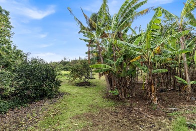 Side-by-side lots with gorgeous ocean views-one with a home, the on Discovery Harbour Golf Course in Hawaii - for sale on GolfHomes.com, golf home, golf lot