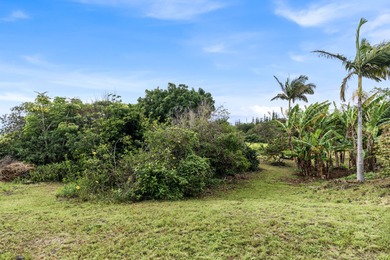 Side-by-side lots with gorgeous ocean views-one with a home, the on Discovery Harbour Golf Course in Hawaii - for sale on GolfHomes.com, golf home, golf lot
