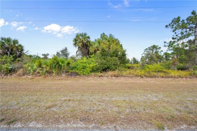 Oversized lot!! Invest your money in a highly desirable on Mirror Lakes Golf Club in Florida - for sale on GolfHomes.com, golf home, golf lot