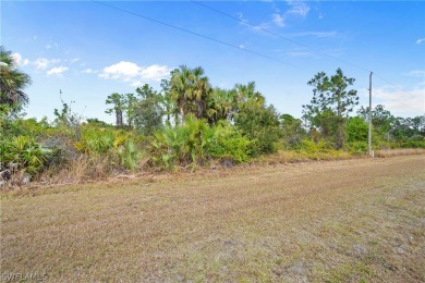 Oversized lot!! Invest your money in a highly desirable on Mirror Lakes Golf Club in Florida - for sale on GolfHomes.com, golf home, golf lot