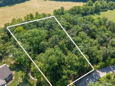 Stunning Alpine Woods lot showcasing gorgeous views of Alpine on Innsbrook Resort Golf Course in Missouri - for sale on GolfHomes.com, golf home, golf lot