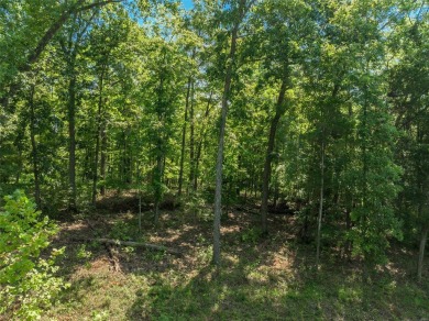 Stunning Alpine Woods lot showcasing gorgeous views of Alpine on Innsbrook Resort Golf Course in Missouri - for sale on GolfHomes.com, golf home, golf lot