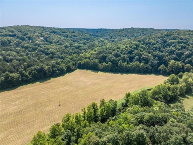 Stunning Alpine Woods lot showcasing gorgeous views of Alpine on Innsbrook Resort Golf Course in Missouri - for sale on GolfHomes.com, golf home, golf lot