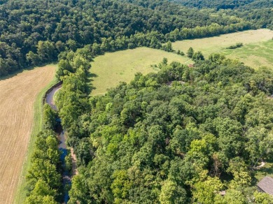 Stunning Alpine Woods lot showcasing gorgeous views of Alpine on Innsbrook Resort Golf Course in Missouri - for sale on GolfHomes.com, golf home, golf lot