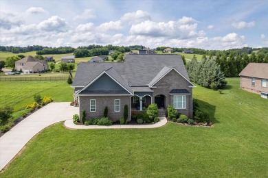 IMPRESSIVE CUSTOM 4 BD 3 BA HOME ALL ON ONE LEVEL IN BEAUTIFUL on River Islands Golf Club in Tennessee - for sale on GolfHomes.com, golf home, golf lot
