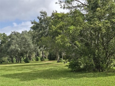 2-Bedroom, 2 Bath home located in the PET FRIENDLY area of on Zellwood Station Country Club in Florida - for sale on GolfHomes.com, golf home, golf lot
