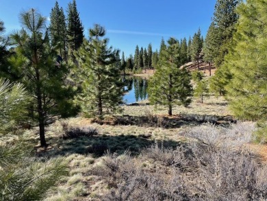 Rare Grizzly Ranch homesite perched above a large pond, creek on Grizzly Ranch Golf Club in California - for sale on GolfHomes.com, golf home, golf lot