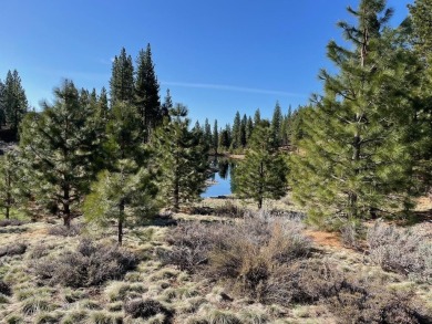Rare Grizzly Ranch homesite perched above a large pond, creek on Grizzly Ranch Golf Club in California - for sale on GolfHomes.com, golf home, golf lot