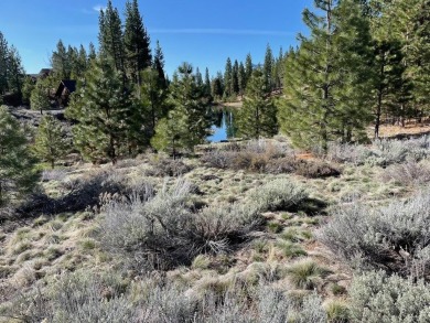 Rare Grizzly Ranch homesite perched above a large pond, creek on Grizzly Ranch Golf Club in California - for sale on GolfHomes.com, golf home, golf lot