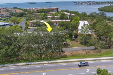 Are you financing?  How is it possible to receive a mortgage on The Dunedin Country Club in Florida - for sale on GolfHomes.com, golf home, golf lot