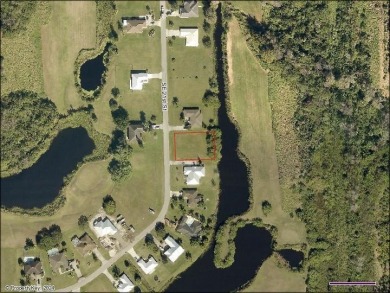 BUILD YOUR DREAM HOME ON A VACANT AND CLEARD .335 ACRE Lot on  in Florida - for sale on GolfHomes.com, golf home, golf lot