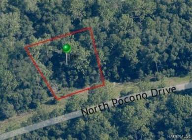 Buildable Quarter-Acre Lot in Citrus Springs presenting an on Citrus Springs Country Club in Florida - for sale on GolfHomes.com, golf home, golf lot