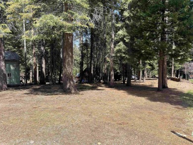 Notorious for having underground utilities, this lot is a rare on Lake Almanor Country Club in California - for sale on GolfHomes.com, golf home, golf lot