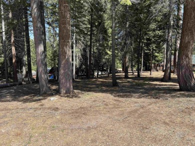 Notorious for having underground utilities, this lot is a rare on Lake Almanor Country Club in California - for sale on GolfHomes.com, golf home, golf lot