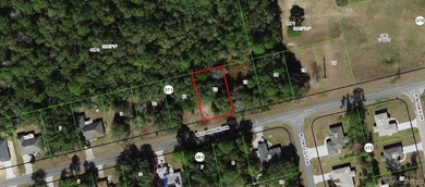 3 Lots in row. Altkey: 1279488 (Lot 11) Altkey: 1279496 (Lot 12) on Citrus Springs Country Club in Florida - for sale on GolfHomes.com, golf home, golf lot