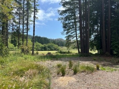 Fantastic opportunity to own your own four bedroom, three on Del Norte Golf Club in California - for sale on GolfHomes.com, golf home, golf lot