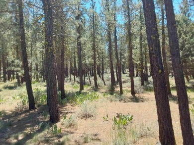 Check out this 1.41 acre golf course lot on the 7th Hole of the on Nakoma Golf Resort in California - for sale on GolfHomes.com, golf home, golf lot