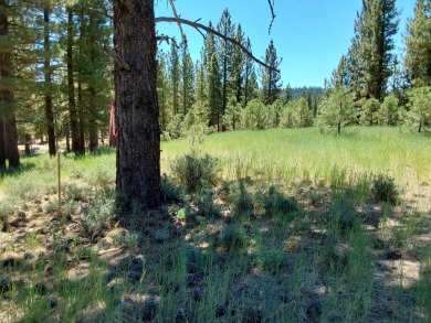 Check out this 3.04 acre golf course lot on the 7th Hole of the on Nakoma Golf Resort in California - for sale on GolfHomes.com, golf home, golf lot