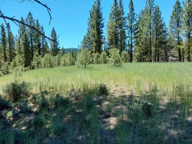 Check out this 3.04 acre golf course lot on the 7th Hole of the on Nakoma Golf Resort in California - for sale on GolfHomes.com, golf home, golf lot