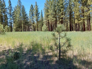 Check out this 3.04 acre golf course lot on the 7th Hole of the on Nakoma Golf Resort in California - for sale on GolfHomes.com, golf home, golf lot