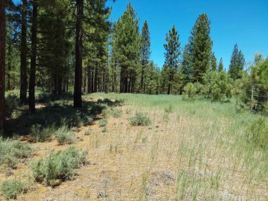 Check out this 3.04 acre golf course lot on the 7th Hole of the on Nakoma Golf Resort in California - for sale on GolfHomes.com, golf home, golf lot