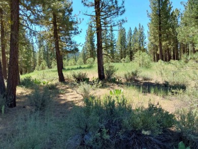 Check out this 3.04 acre golf course lot on the 7th Hole of the on Nakoma Golf Resort in California - for sale on GolfHomes.com, golf home, golf lot