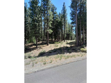 Discover Your Dream Homesite at Nakoma in the Lost Sierra Region on Nakoma Golf Resort in California - for sale on GolfHomes.com, golf home, golf lot