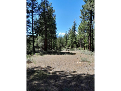 Discover Your Dream Homesite at Nakoma in the Lost Sierra Region on Nakoma Golf Resort in California - for sale on GolfHomes.com, golf home, golf lot
