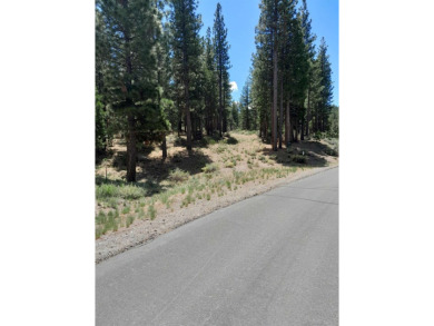 Discover Your Dream Homesite at Nakoma in the Lost Sierra Region on Nakoma Golf Resort in California - for sale on GolfHomes.com, golf home, golf lot