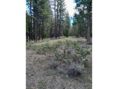 Discover Your Dream Homesite at Nakoma in the Lost Sierra Region on Nakoma Golf Resort in California - for sale on GolfHomes.com, golf home, golf lot