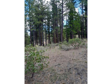 Discover Your Dream Homesite at Nakoma in the Lost Sierra Region on Nakoma Golf Resort in California - for sale on GolfHomes.com, golf home, golf lot