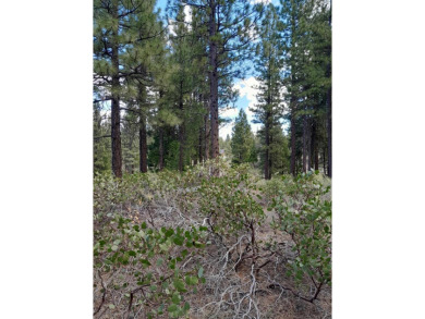 Discover Your Dream Homesite at Nakoma in the Lost Sierra Region on Nakoma Golf Resort in California - for sale on GolfHomes.com, golf home, golf lot