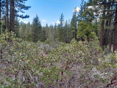Discover Your Dream Homesite at Nakoma in the Lost Sierra Region on Nakoma Golf Resort in California - for sale on GolfHomes.com, golf home, golf lot