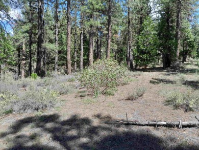 Discover Your Dream Homesite at Nakoma in the Lost Sierra Region on Nakoma Golf Resort in California - for sale on GolfHomes.com, golf home, golf lot