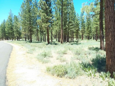 Discover Your Dream Homesite at Nakoma in the Lost Sierra Region on Nakoma Golf Resort in California - for sale on GolfHomes.com, golf home, golf lot