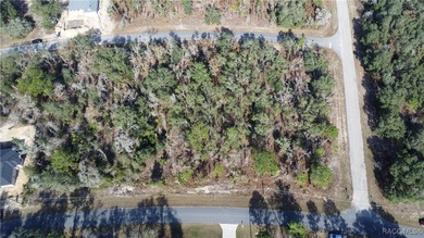 2 Lots in row. Altkey: 2050136(Lot 11) Altkey: 2050128 Lot 10) on Citrus Springs Country Club in Florida - for sale on GolfHomes.com, golf home, golf lot