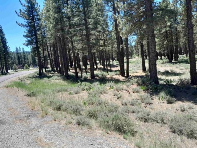 Discover Your Dream Homesite at Nakoma in the Lost Sierra Region on Nakoma Golf Resort in California - for sale on GolfHomes.com, golf home, golf lot