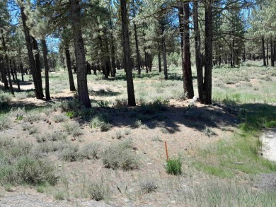 Discover Your Dream Homesite at Nakoma in the Lost Sierra Region on Nakoma Golf Resort in California - for sale on GolfHomes.com, golf home, golf lot