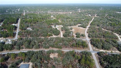2 Lots in row. Altkey: 2050136(Lot 11) Altkey: 2050128 Lot 10) on Citrus Springs Country Club in Florida - for sale on GolfHomes.com, golf home, golf lot