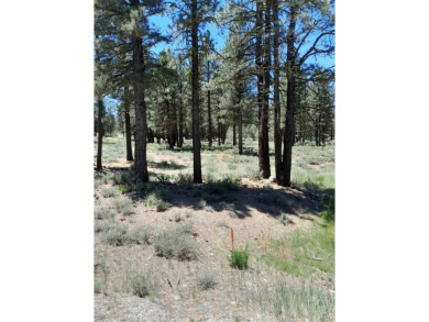 Discover Your Dream Homesite at Nakoma in the Lost Sierra Region on Nakoma Golf Resort in California - for sale on GolfHomes.com, golf home, golf lot