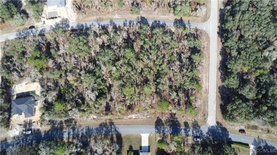 2 Lots in row. Altkey: 2050136(Lot 11) Altkey: 2050128 Lot 10) on Citrus Springs Country Club in Florida - for sale on GolfHomes.com, golf home, golf lot