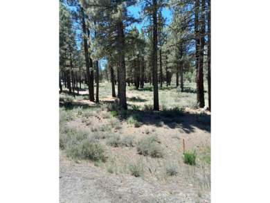 Discover Your Dream Homesite at Nakoma in the Lost Sierra Region on Nakoma Golf Resort in California - for sale on GolfHomes.com, golf home, golf lot