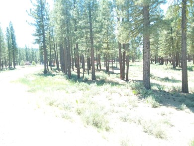 Discover Your Dream Homesite at Nakoma in the Lost Sierra Region on Nakoma Golf Resort in California - for sale on GolfHomes.com, golf home, golf lot