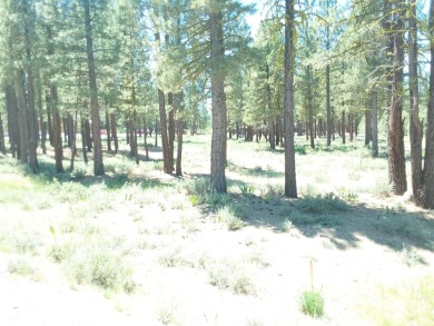 Discover Your Dream Homesite at Nakoma in the Lost Sierra Region on Nakoma Golf Resort in California - for sale on GolfHomes.com, golf home, golf lot